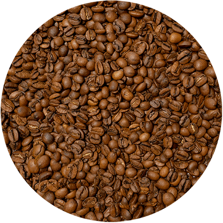 Mary Rose -  Bohnenkaffee Costa Rica San Rafael speciality 1 kg