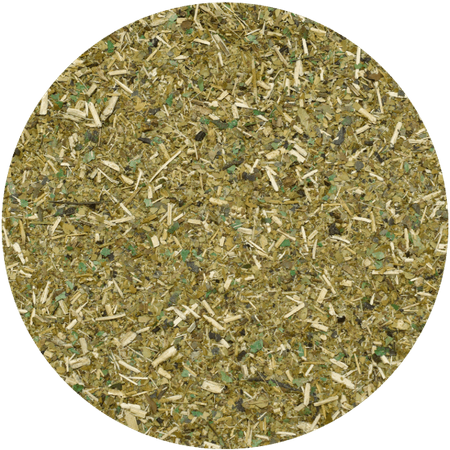 Yerbera – Puszka z El Fuego Energia Guarana 0,5 kg 