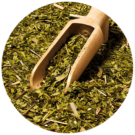 Yerbera – Tin can + Verde Mate Cannabis Absinth 0.5kg 