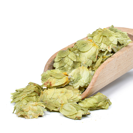 17 x Lubelski hops 1 kg
