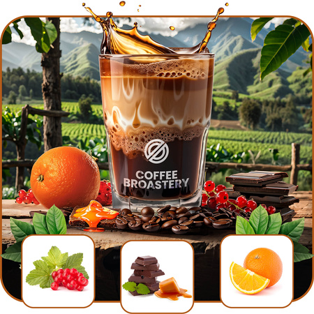 Coffee Broastery - Café arábica en grano Colombia Medellin Premium 400 g