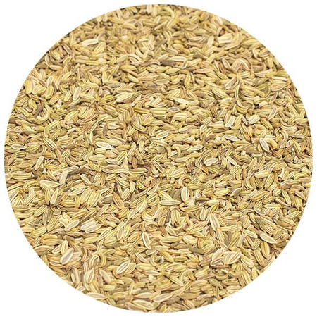 Hinojo bio (semillas) 1 kg