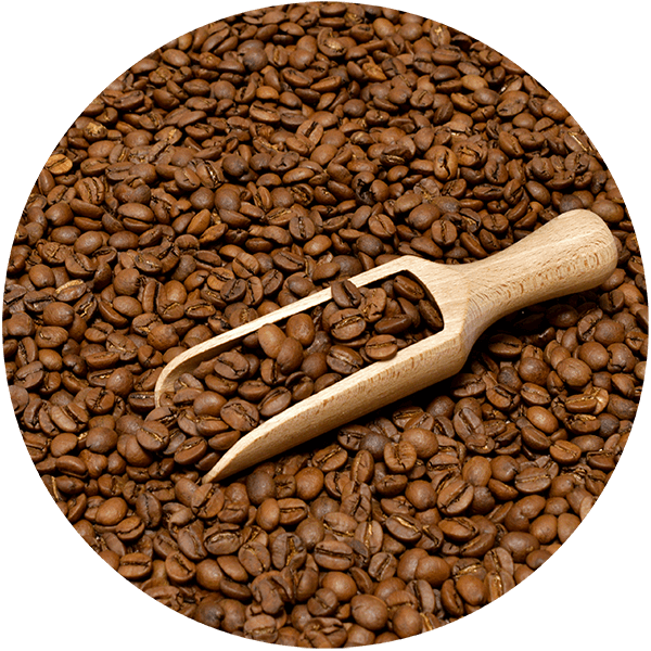 Mary Rose -  whole bean coffee Nicaragua Colibrí Azul speciality 200g