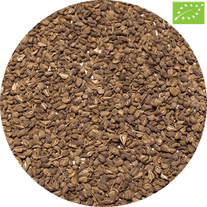 Anýz (bio) 1 kg